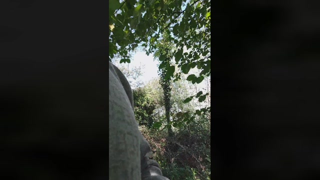 Juliandoras  23-09-2022 Recorded Video hard