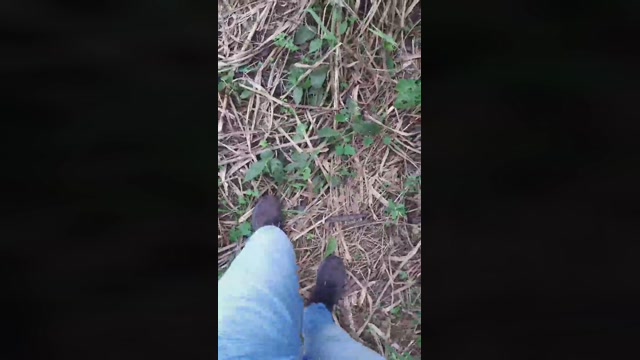 Synbaherrera  22-09-2022 Recorded Video Show