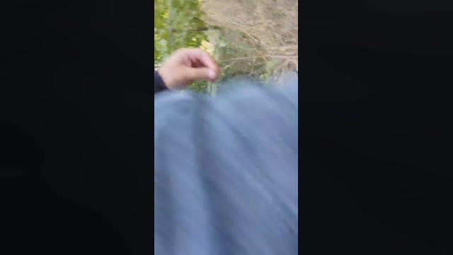 Mirko035  24-09-2022 Recorded Video Ass