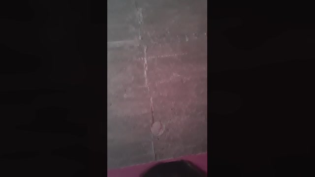 Cielito_18 24-09-2022 sex 