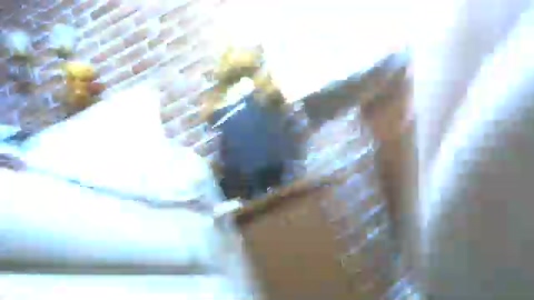 pollen_07  24-09-2022 Recorded Video moan