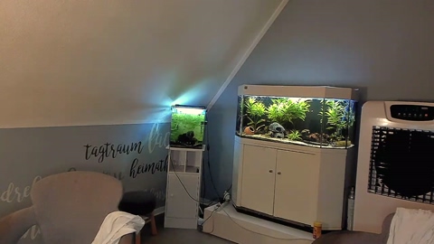 ronhill13  25-09-2022 Recorded Video Webcam