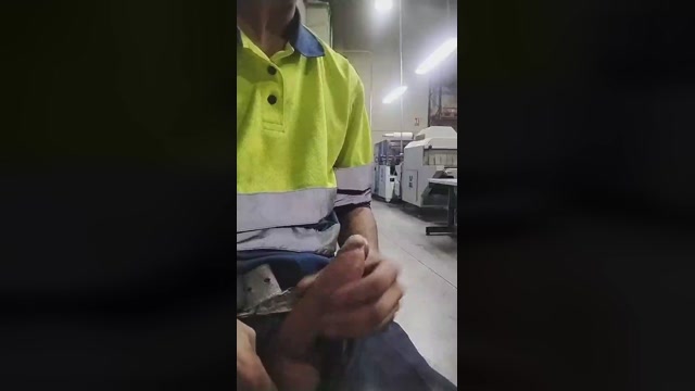 El_lince69  25-09-2022 Recorded Video toy