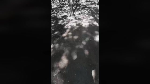 sikici20  26-09-2022 Recorded Video fuck