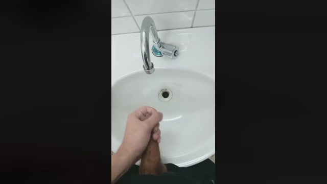 Coelho982