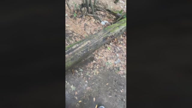 Culo_Fist  27-09-2022 Recorded Video beauty