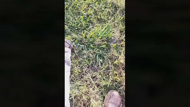 Rafael21038  27-09-2022 Recorded Video moan