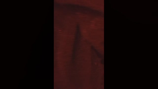 Hotcouplejaag 28-09-2022 jerkoff 