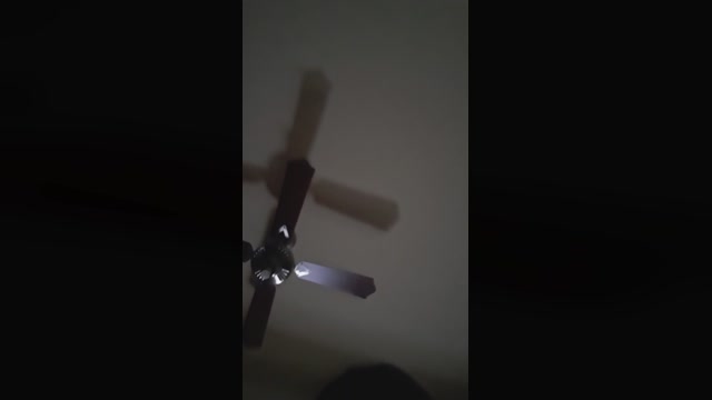 Cielito_18