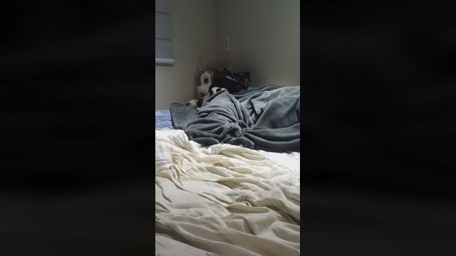 frankcum10  28-09-2022 Recorded Video toy