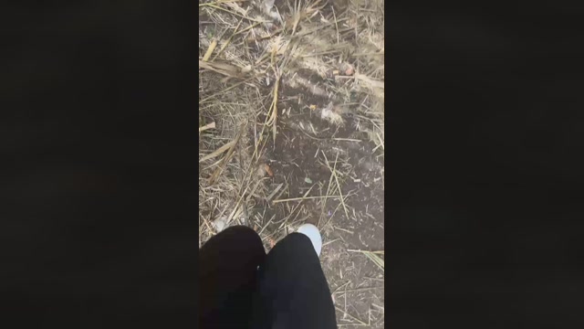 pellinkio  29-09-2022 Recorded Video blowjob