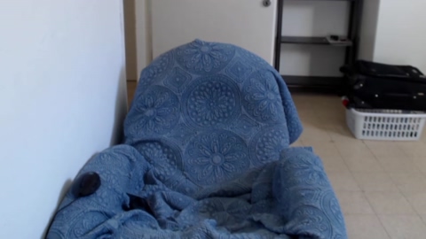 shawnshelby  29-09-2022 video cute