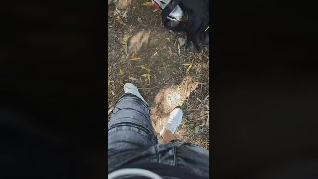 Mirko035  30-09-2022 Recorded Video fuckass