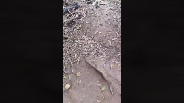 Synbaherrera  29-09-2022 Recorded Video Porn