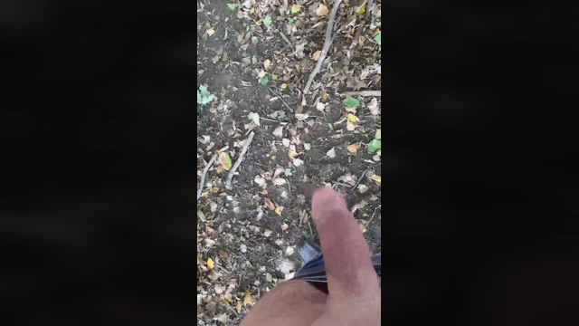 dscamxl  30-09-2022 Recorded Video handsome