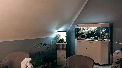 ronhill13  30-09-2022 Recorded Video Topless