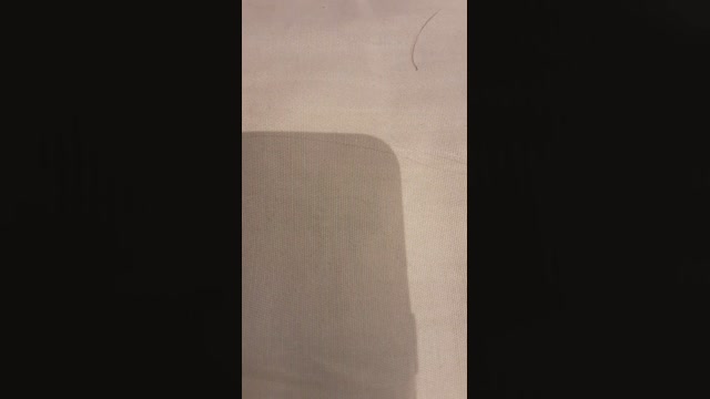 DDTM2521  02-10-2022 Recorded Video fuckface