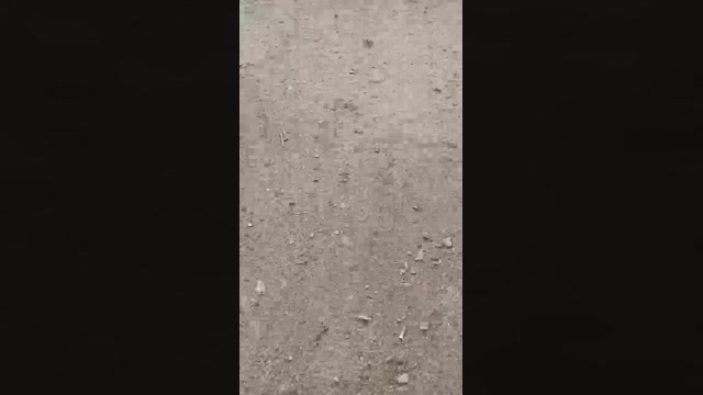 Gastea1  02-10-2022 Recorded Video striptease