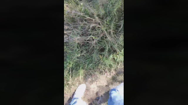 Mirko035  02-10-2022 Recorded Video deep