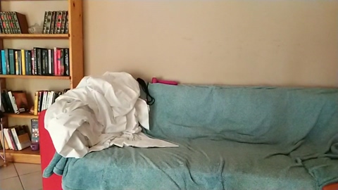 Italian__couple  03-10-2022 Recorded Video harddick