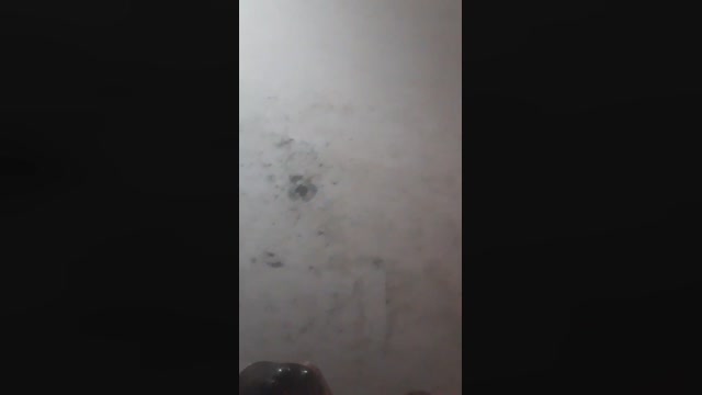 Tuchicojuanfer  03-10-2022 Recorded Video lick