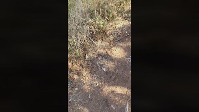 baby052  02-10-2022 Recorded Video big