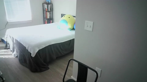 ghostaueil  03-10-2022 video toys