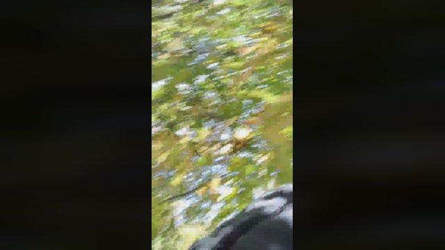 Mirko035  04-10-2022 Recorded Video fuckme