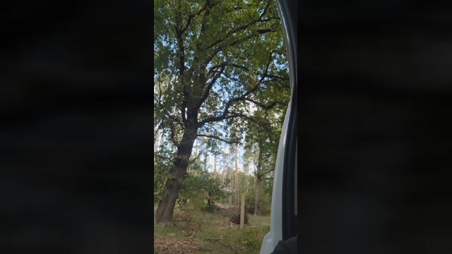 Spritzer110  04-10-2022 Recorded Video hard