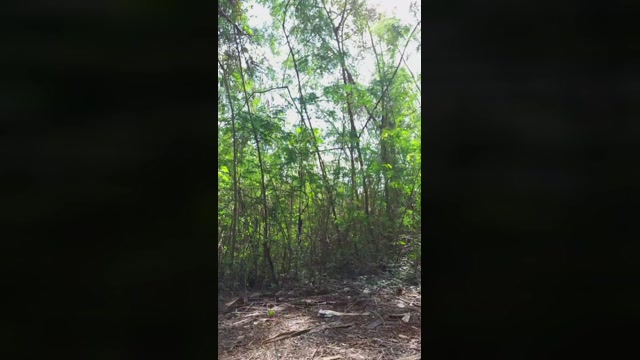 Synbaherrera  04-10-2022 Recorded Video kink