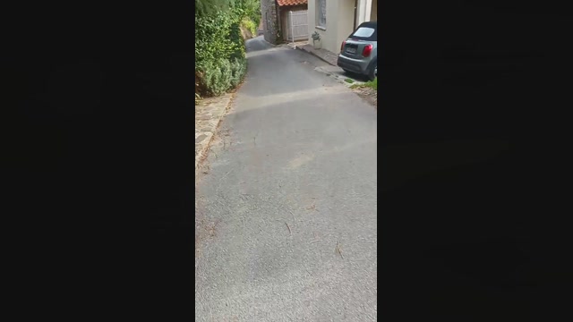 florin166  04-10-2022 Recorded Video gag