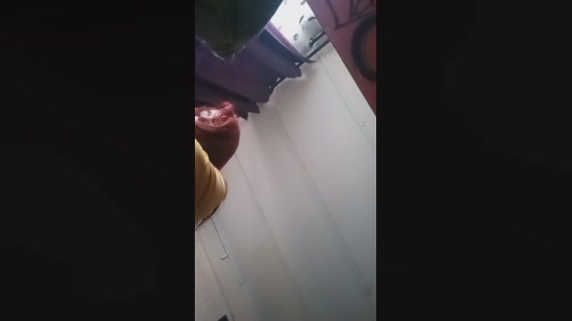 latinfiregir