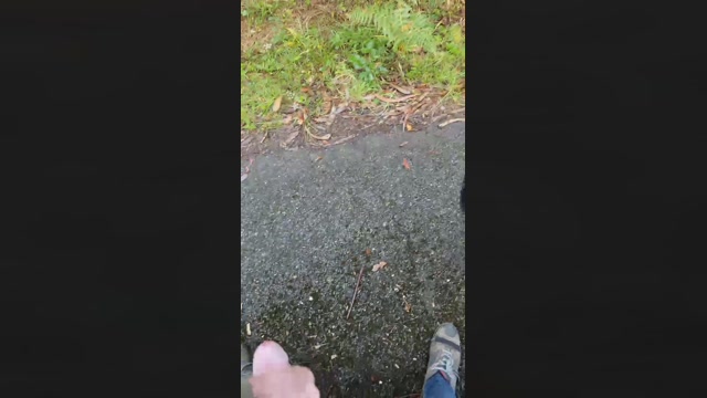 fernight28  06-10-2022 Recorded Video gag