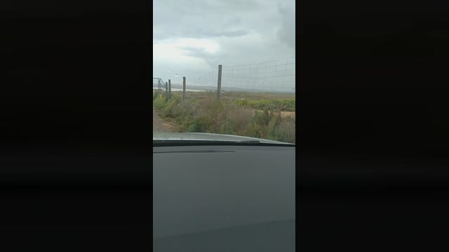 toro77R  06-10-2022 Recorded Video Porn