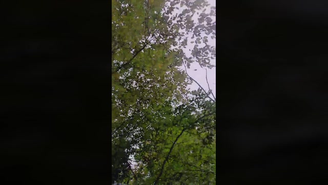 SlutboyBen  07-10-2022 Recorded Video jerkoff