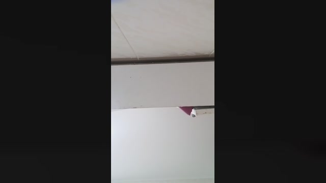 pollon745  06-10-2022 Recorded Video kinky