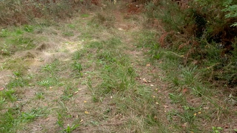 Cuni40  08-10-2022 Recorded Video big