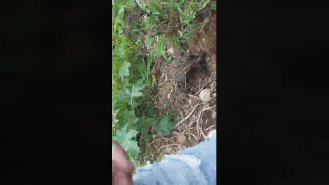 Synbaherrera  07-10-2022 Recorded Video bigass