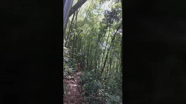 stevmare  07-10-2022 Recorded Video deep