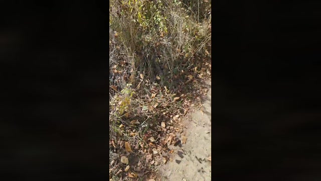 baby052  09-10-2022 Recorded Video hardcore