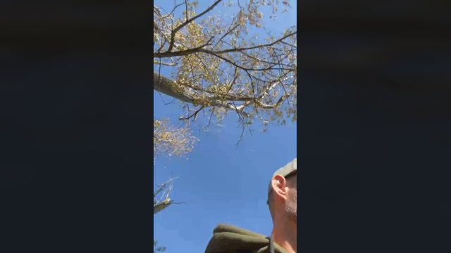 79erMicha  10-10-2022 Recorded Video blowjob
