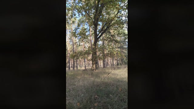 Spritzer110  11-10-2022 Recorded Video hard