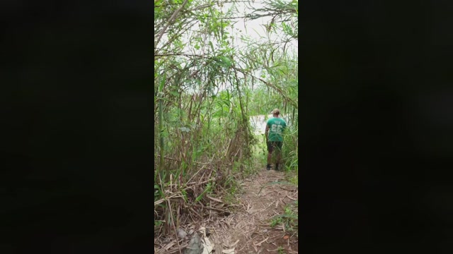 Synbaherrera  11-10-2022 Recorded Video jackoff