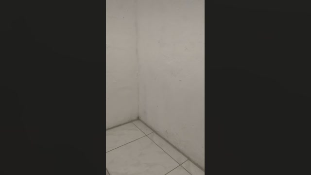 marcopzpz  10-10-2022 Recorded Video ass