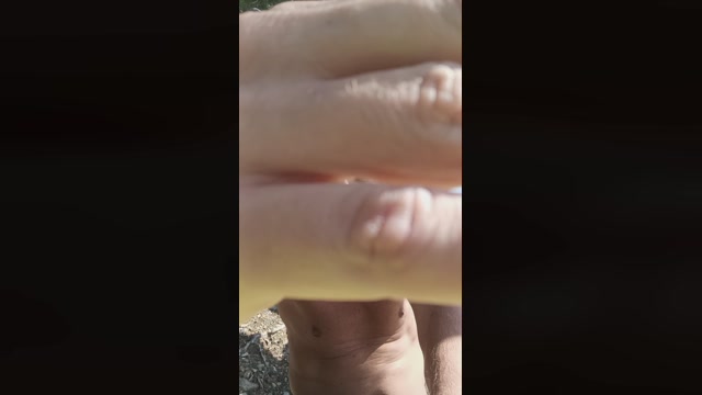 wanted7891  11-10-2022 Recorded Video hard