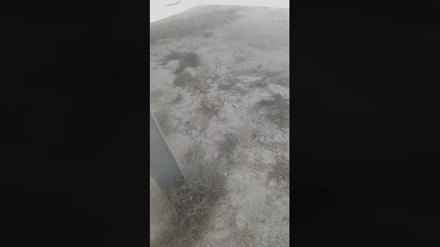 bear96_xxx  13-10-2022 Recorded Video suck