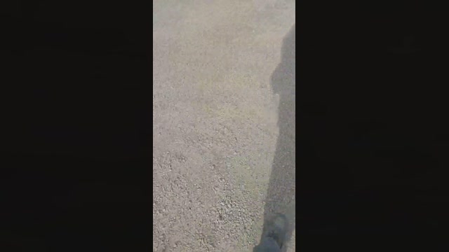 bear96_xxx  13-10-2022 Recorded Video Topless