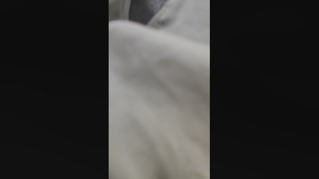 pourtoisexy  13-10-2022 Recorded Video playtime