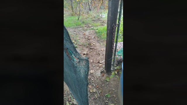 Gdiddy2021  14-10-2022 Recorded Video kiss
