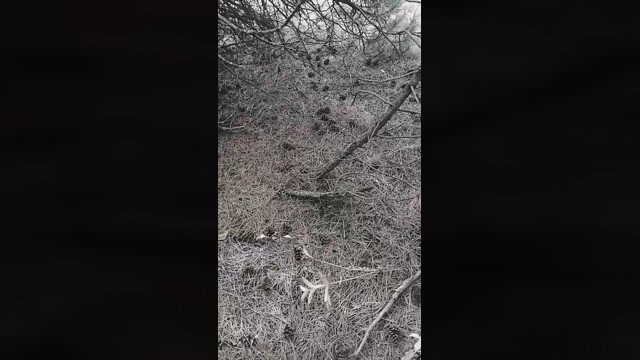 sikici20  14-10-2022 Recorded Video sexy